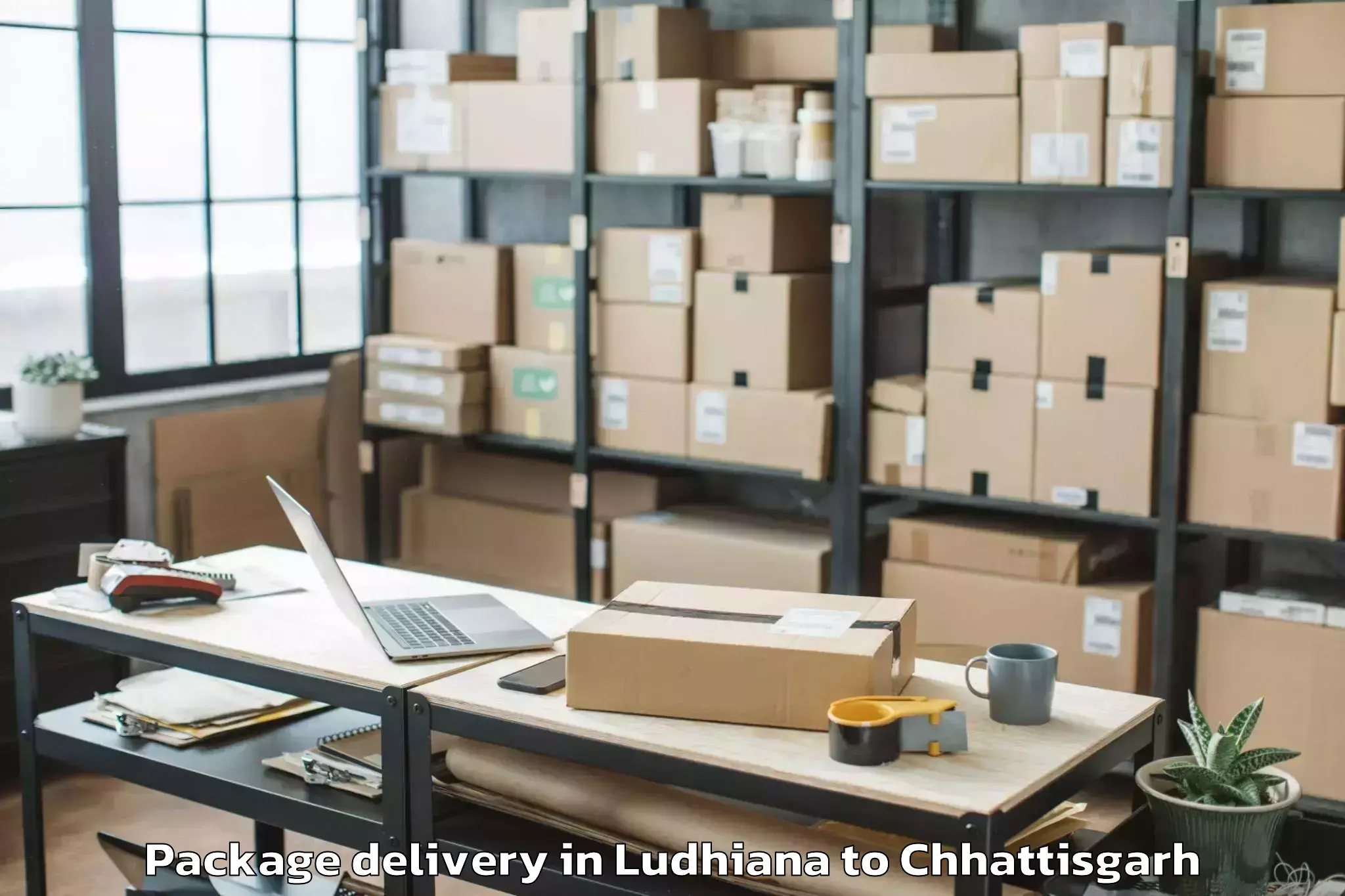 Easy Ludhiana to Mats University Aarang Package Delivery Booking